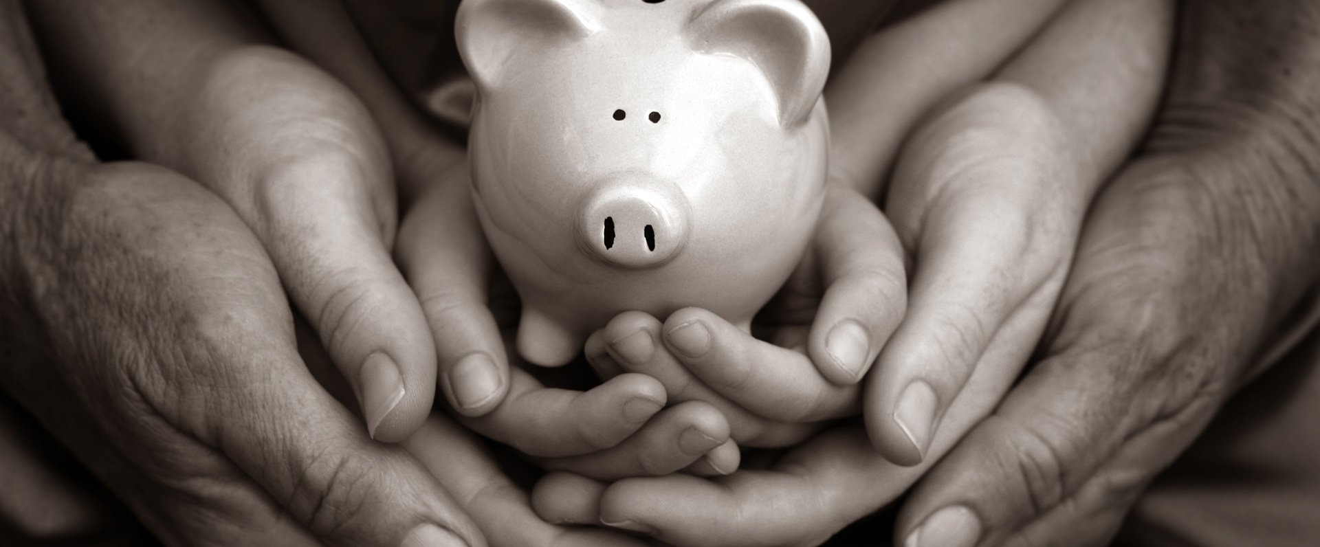 hands holding piggy bank